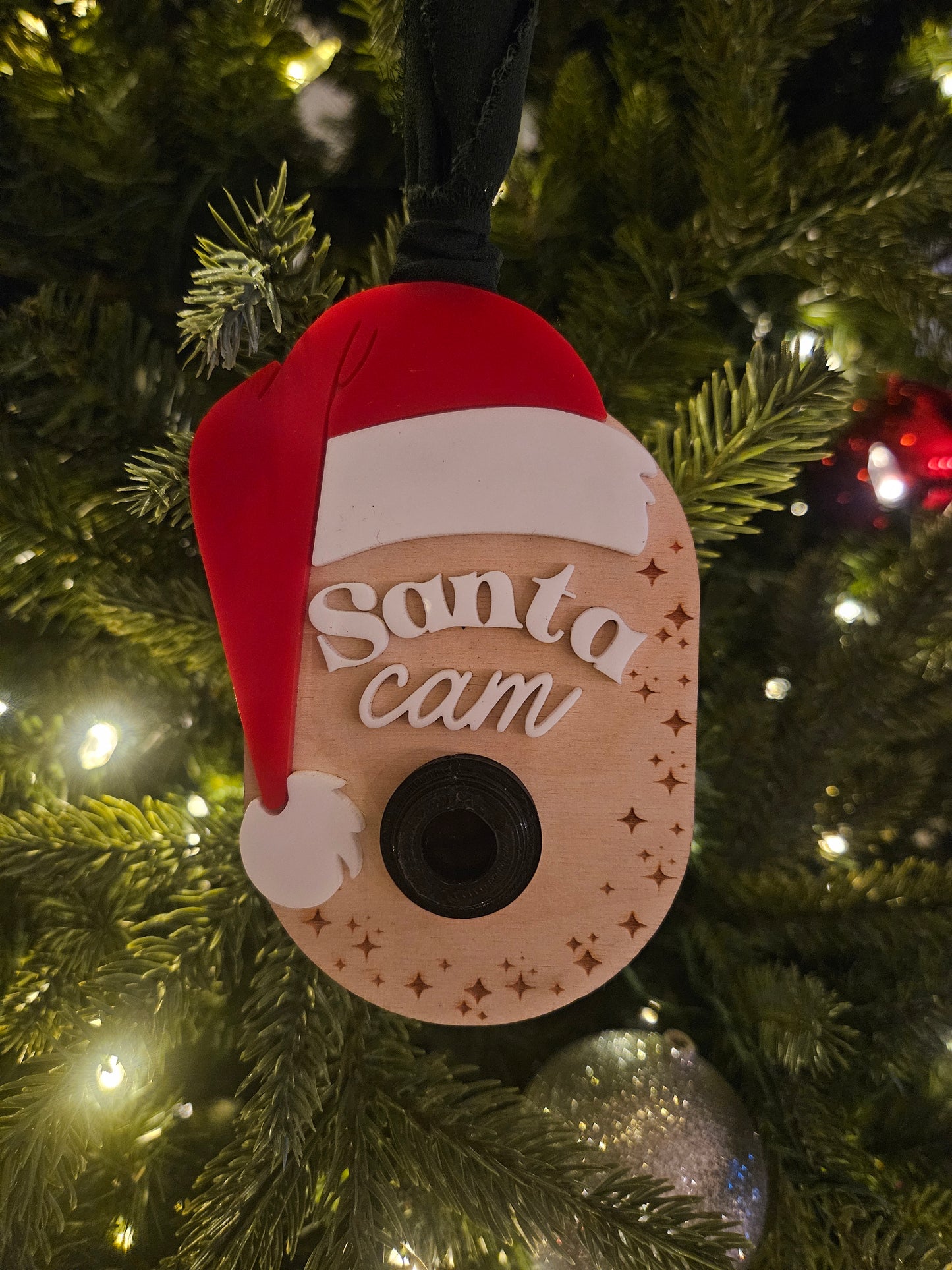 Santa Cam