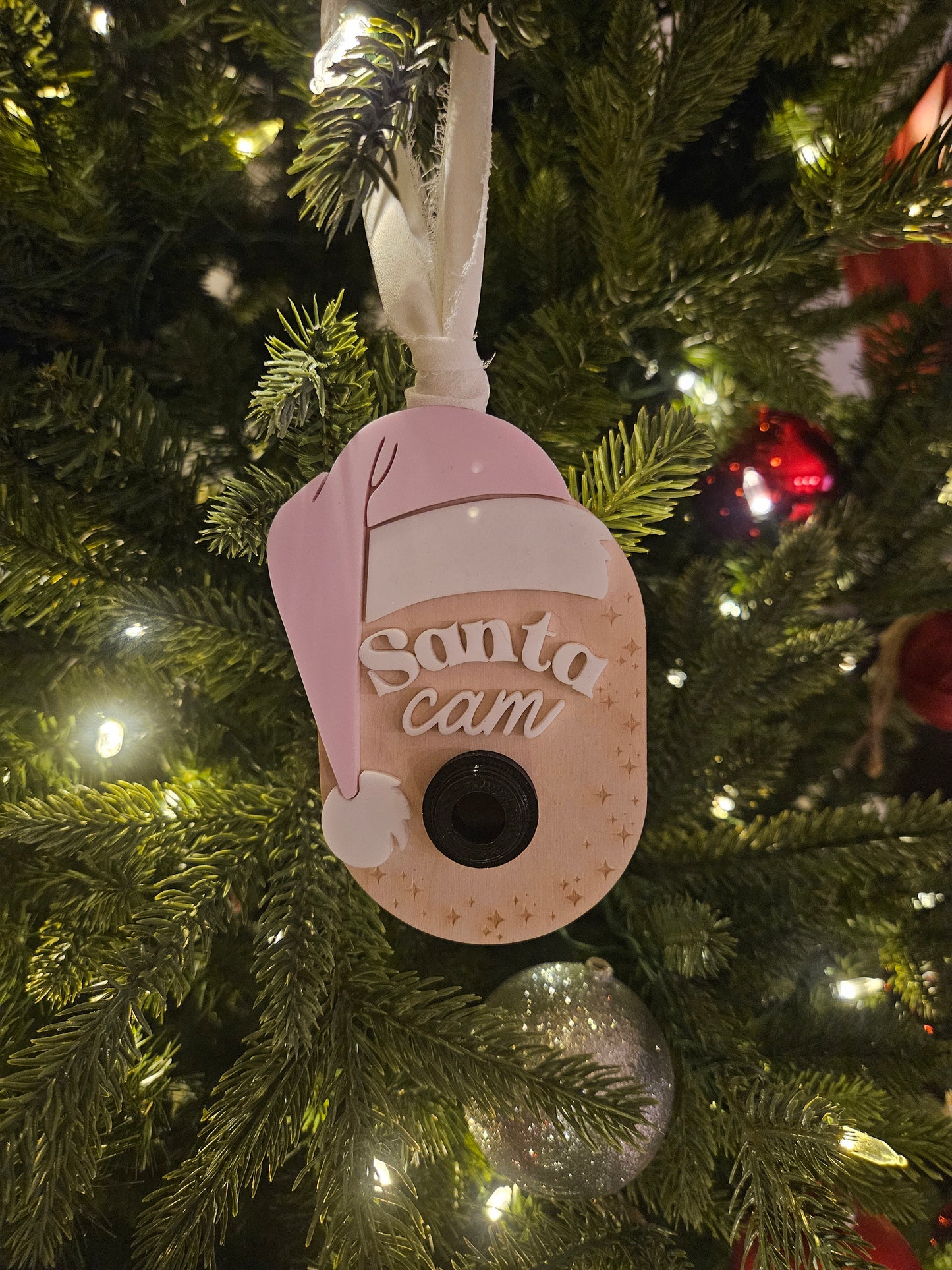 Santa Cam
