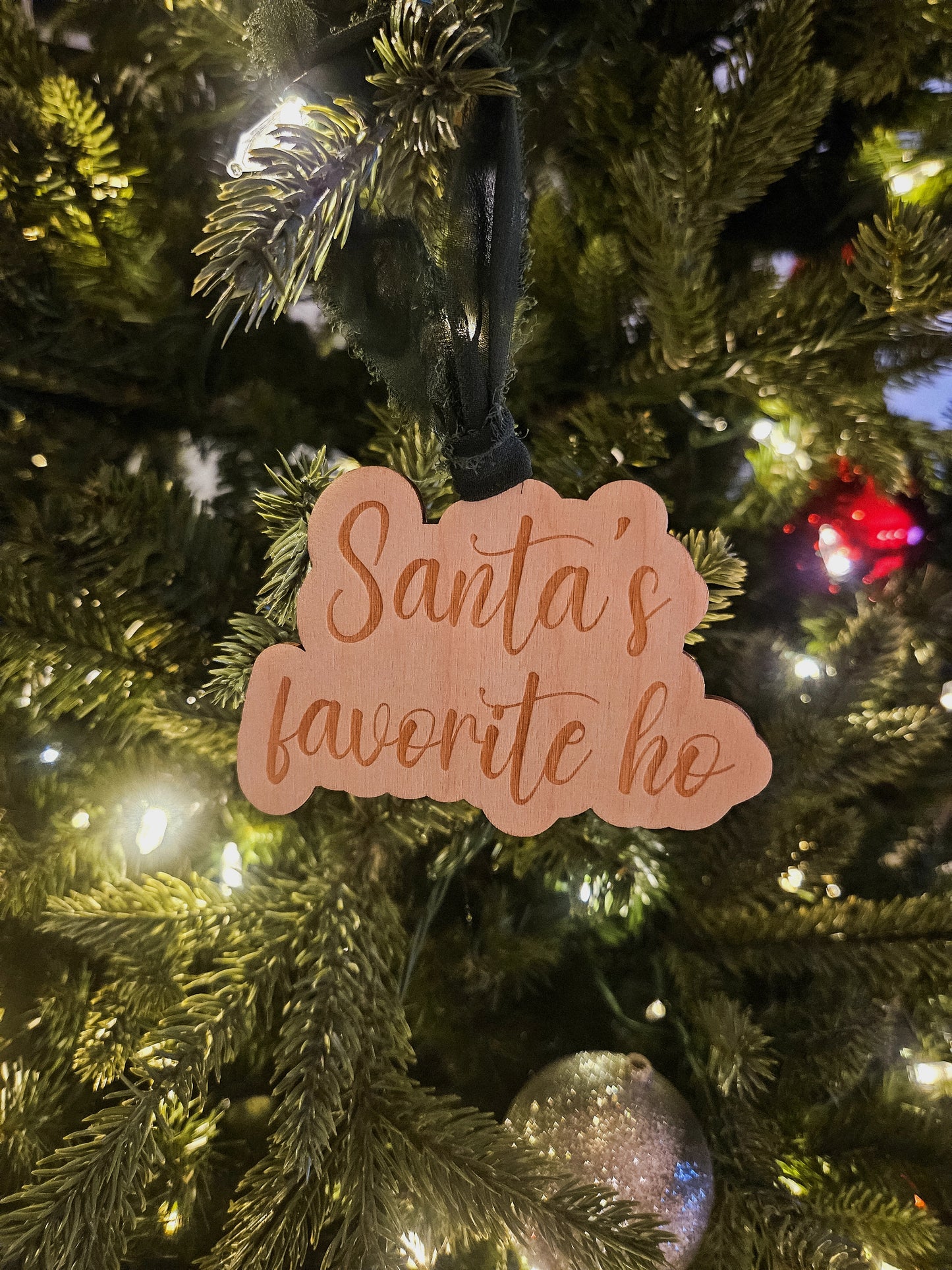 Santa's Favorite Ho